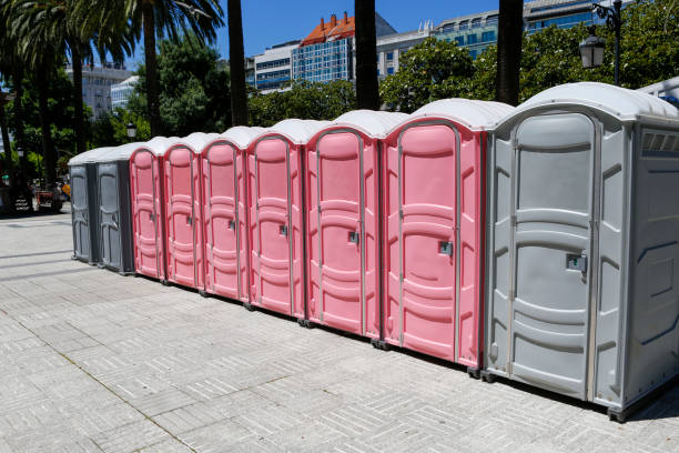 Types of Portable Toilets We Offer in Atkinson, IL